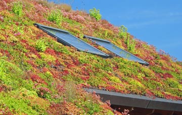Nackington living roof systems