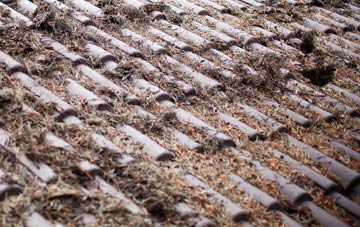 Nackington roof cleaning companies